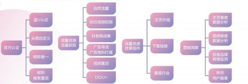 抖音直播運(yùn)營(yíng)總監(jiān)的工作職責(zé),運(yùn)營(yíng)總監(jiān)的職責(zé)主要有哪些？  第2張