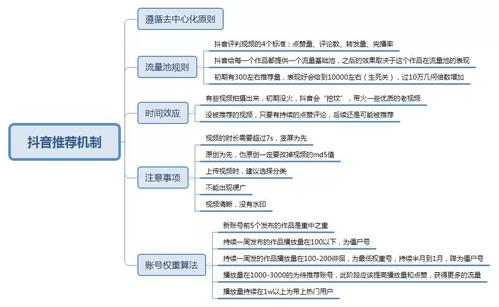 個(gè)人抖音號(hào)運(yùn)營(yíng)心得,抖音號(hào)運(yùn)營(yíng)怎么做？  第2張