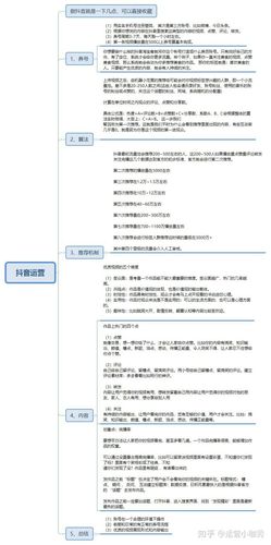 抖音運營的工作計劃,抖音時代 運營計劃[優(yōu)質(zhì)ppt]  第1張