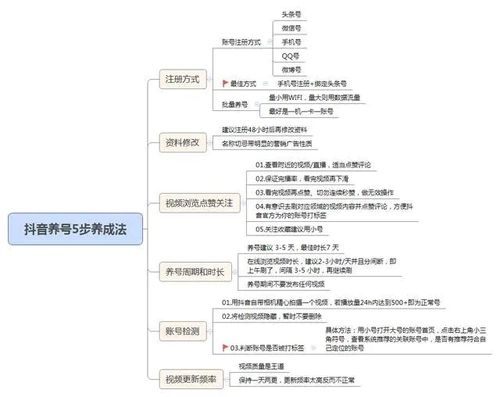 抖音直播運(yùn)營(yíng)方案,抖音運(yùn)營(yíng)有哪些？抖音運(yùn)營(yíng)團(tuán)隊(duì)哪里找？  第1張