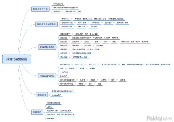 抖音電商運營策略,抖音運營有什么技巧策略？  第3張