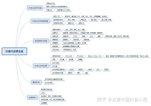 十大抖音代運營公司,抖音代運營做得比較好的公司是？  第2張