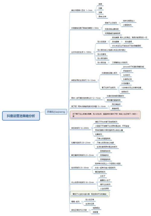 試分析抖音的運(yùn)營(yíng)管理模式(抖音認(rèn)證-抖音企業(yè)認(rèn)證、抖音運(yùn)營(yíng)、  第2張