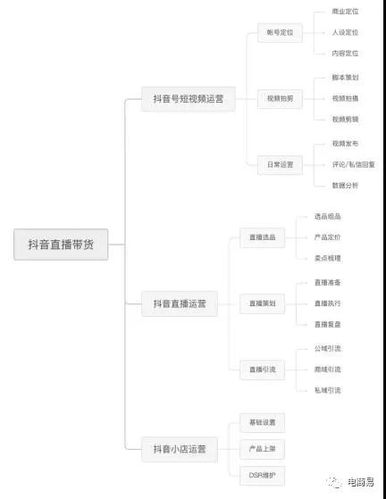 抖音直播帶貨運(yùn)營(yíng)計(jì)劃方案怎么寫,抖音直播帶貨怎么運(yùn)營(yíng)好一些？  第2張