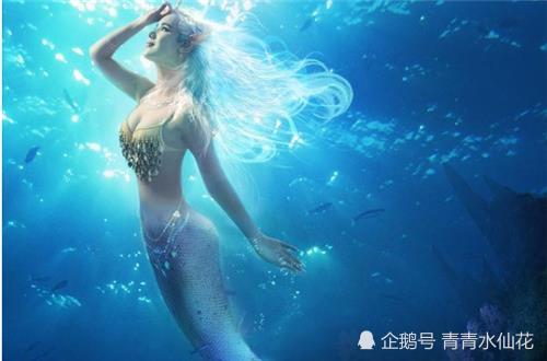 山海經人魚虛擬人物,山海經美人魚介紹  第2張