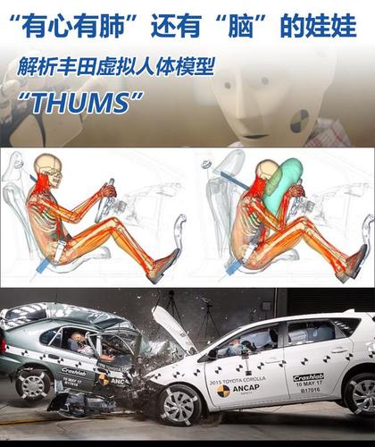 虛擬人體模型THUMS,虛擬人體模型和真人連接  第2張