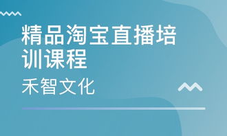 淘寶直播培訓(xùn)課程代運(yùn)營(yíng),淘寶直播代運(yùn)營(yíng)公司(淘寶直播代運(yùn)營(yíng)哪個(gè)公司好)  第2張