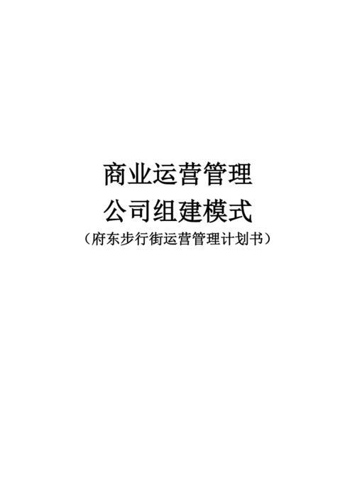 直播代運(yùn)營(yíng)商業(yè)計(jì)劃書,商業(yè)計(jì)劃書運(yùn)營(yíng)分析(網(wǎng)絡(luò)直播商業(yè)計(jì)劃書)  第3張