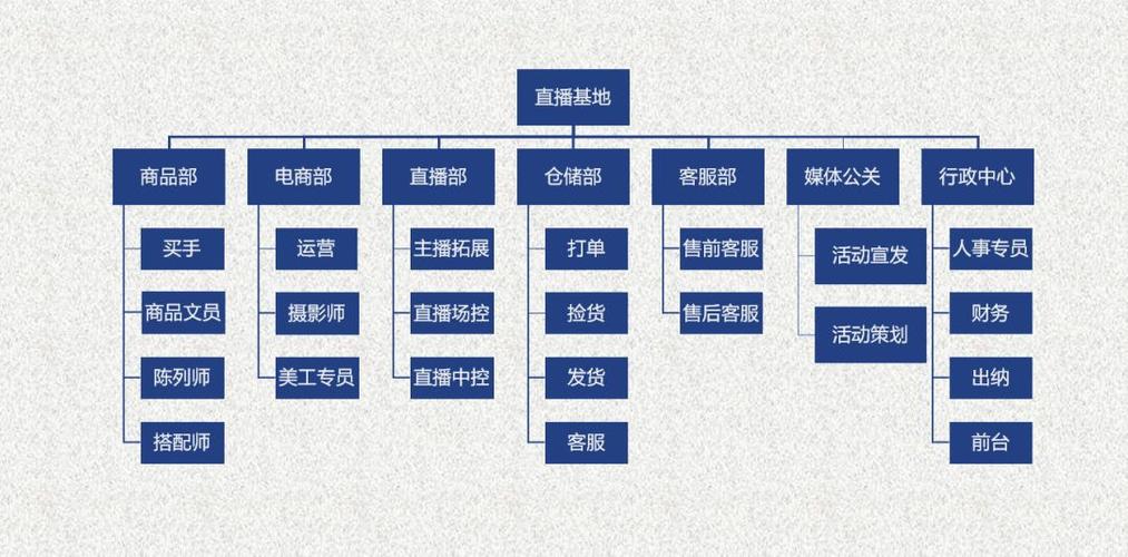 直播賣貨代運營團隊帶貨,抖音直播帶貨代運營合同(抖音直播帶貨需要團隊嗎)  第2張