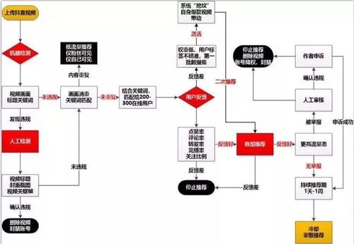 直播帶貨代運(yùn)營(yíng)分配比例,直播帶貨的運(yùn)營(yíng)模式(直播帶貨公司的運(yùn)營(yíng)模式)  第4張