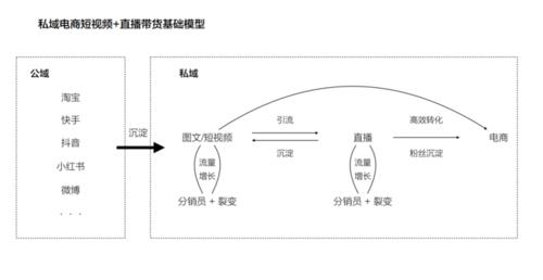 直播私域代運營,代直播業(yè)務(wù)(做直播代理)  第2張