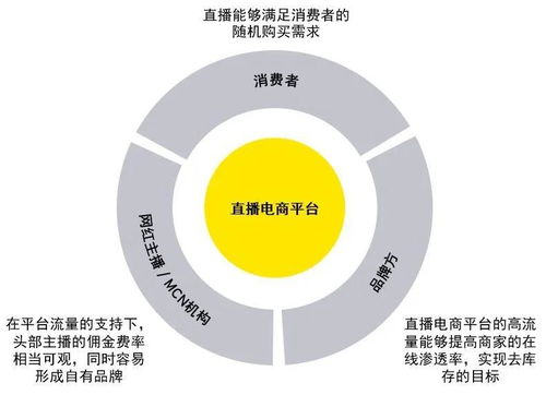 阿勒泰直播帶貨代運營,抖音直播帶貨代運營團隊(抖音直播帶貨代運營公司)  第3張